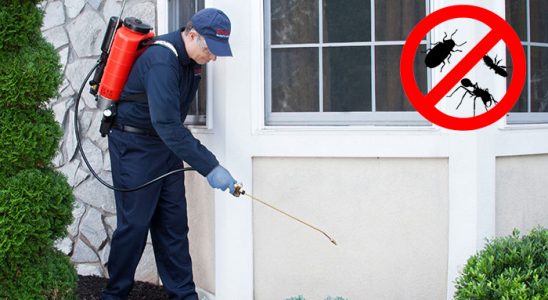 Çifteler Akrep İlaçlama böcek ilaçlama ve haşere kontrolü — ilaclama-tr.com